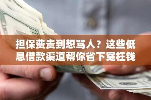 北京担保费贵到想骂人？这些低息借款渠道帮你省下冤枉钱
