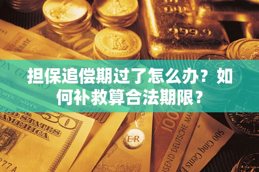 北京担保追偿期过了怎么办？如何补救算合法期限？