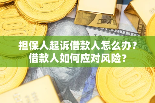 北京担保人起诉借款人怎么办？借款人如何应对风险？