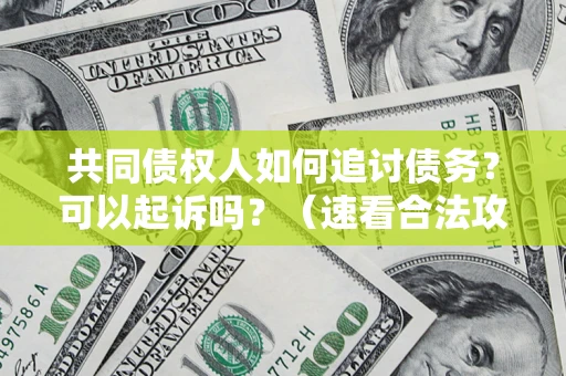 北京共同债权人如何追讨债务？可以起诉吗？（速看合法攻略）