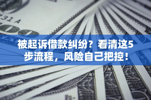 北京被起诉借款纠纷？看清这5步流程，风险自己把控！